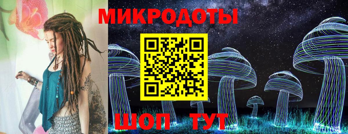 Славянск-на-Кубани  Псилоцибиновые грибы Psilocybe  Вход с VPN 